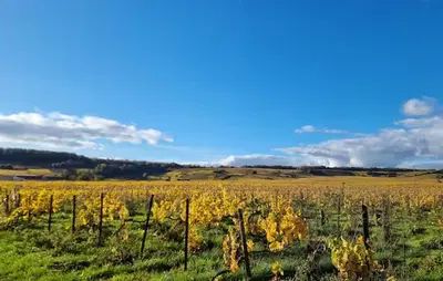 Paysage naturel près de la maison de vacances