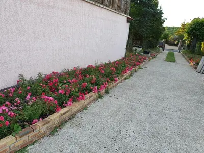 Jardin de l'établissement A la terrasse du val de vincelles