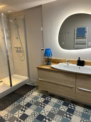 Salle de bains dans l'établissement Sublime appartement Rémois