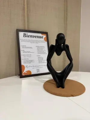 Plan de l'établissement L'écrin orange, Wifi et parking gratuit