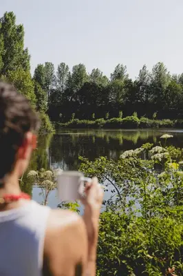 Plan de l'établissement Parcel Tiny House I Richecourt vue Lac