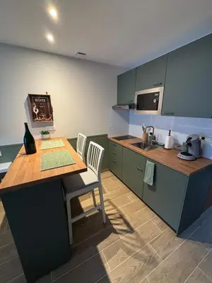 Cuisine ou kitchenette dans l'établissement La Barrique Champenoise - Studio and Terrasse
