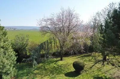 Paysage naturel près de l'appartement