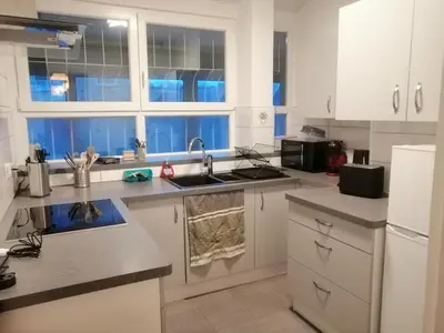 Cuisine ou kitchenette dans l'établissement Appartement Lumineux