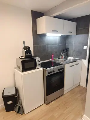 Cuisine ou kitchenette dans l'établissement Studio charmant