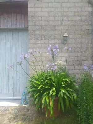 Jardin de l'établissement Bienvenue Chez Papy