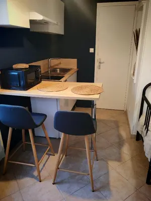 Cuisine ou kitchenette dans l'établissement L'arcisien