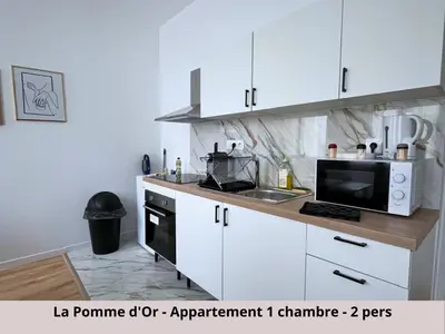 Cuisine ou kitchenette dans l'établissement Les Appartements de la Pomme Rouge