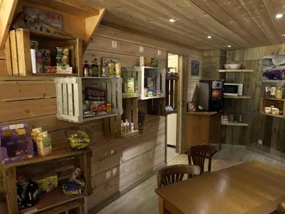 Cuisine ou kitchenette dans l'établissement Chalet 35m² avec terrasse à Cessières - API-1-52-1026