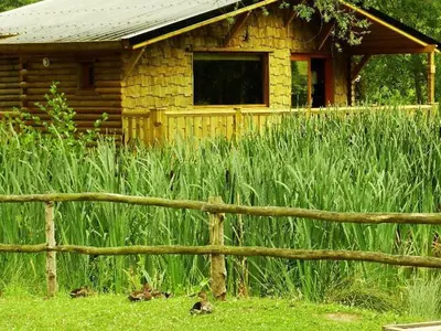 Jardin de l'établissement Chalet 35m² avec terrasse à Cessières - API-1-52-1026