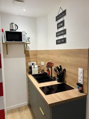 Cuisine ou kitchenette dans l'établissement Le cozy Cathedral Reims