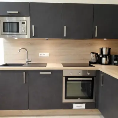 Apartment Privathof Barbecue Stadtzentrum Voltaire by Interhome