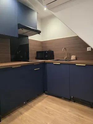 Cuisine ou kitchenette dans l'établissement Clytoria Duplex Balnéo proche Disneyland