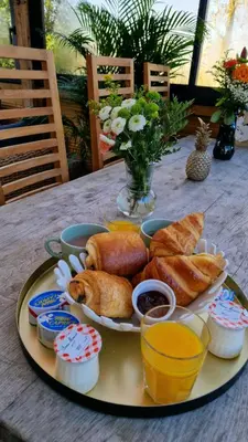 Nourriture dans l'appartement ou à proximité