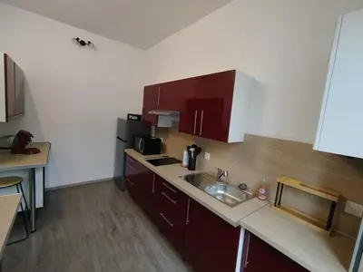 Cuisine ou kitchenette dans l'établissement Le Ternaux