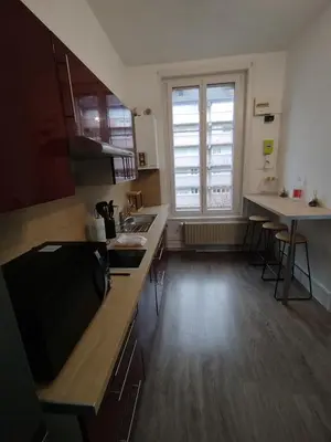 Cuisine ou kitchenette dans l'établissement Le Ternaux