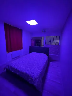 Un ou plusieurs lits dans un hébergement de l'établissement LOVE ROOM Sauna & Cinema 2p Studio proche Disney