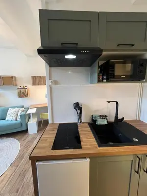 Cuisine ou kitchenette dans l'établissement Les nids de Laon Le colibri
