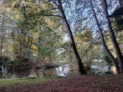 Paysage naturel près de l'appartement
