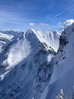 L'établissement All season Alpine apartment en hiver