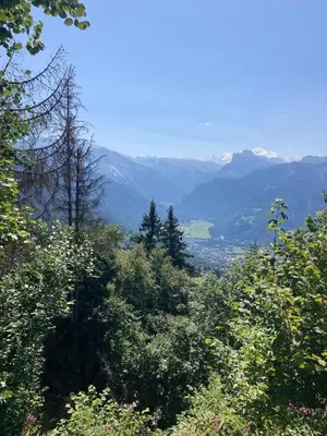 Paysage naturel près de l'appartement