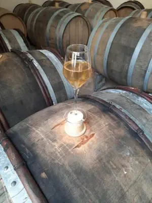 Boissons dans l'établissement Le Clos des Anges
