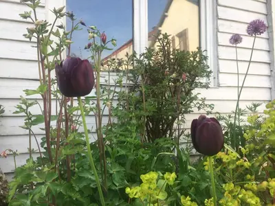 Jardin de l'établissement La maisonnette
