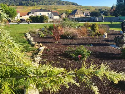 Jardin de l'établissement Chambre d'Hôte Les Ondines