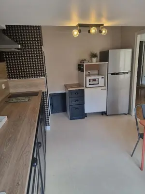 Cuisine ou kitchenette dans l'établissement Le Cocoon De Sacha