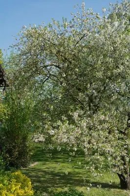 Jardin de l'établissement Les Rendzines