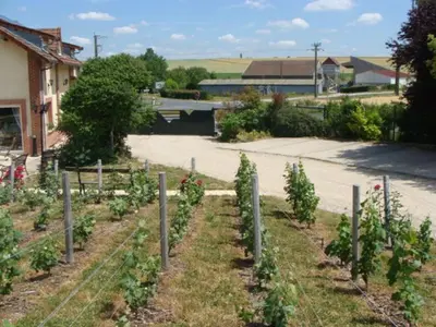 Jardin de l'établissement Gite de la Loge
