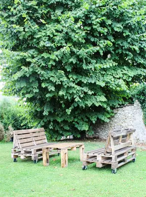 Jardin de l'établissement Rêve Champenois Chambres d'Hôtes