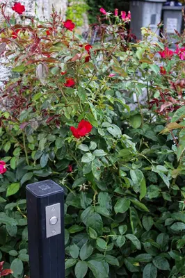 Jardin de l'établissement Rêve Champenois Chambres d'Hôtes