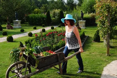 Jardin de l'établissement Les insolites du grand logis