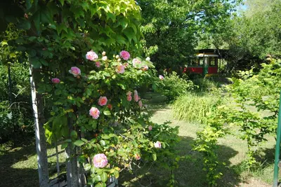 Jardin de l'établissement Les insolites du grand logis