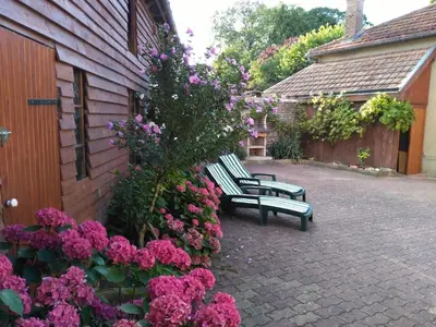 Jardin de l'établissement Maison d'Argonne