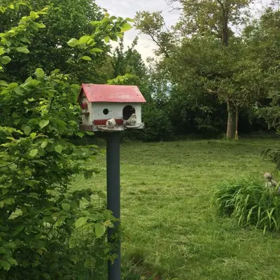 Jardin de l'établissement Chez Madame Titus