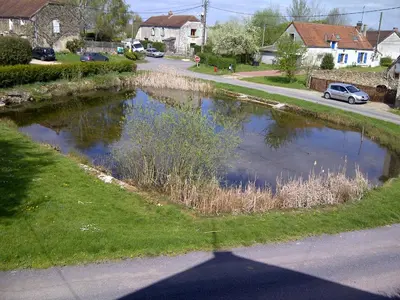 Paysage naturel près de la maison de vacances