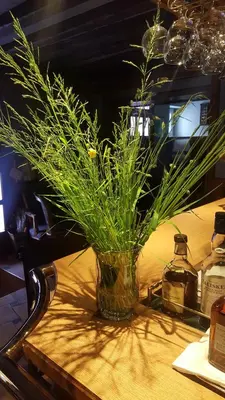 Boissons dans l'établissement LOGIS - Hôtel & Restaurant Le Gonfalon