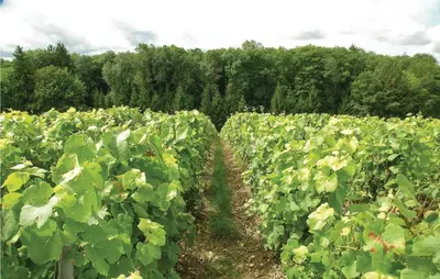 Jardin de l'établissement Apt C