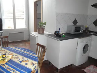 Cuisine ou kitchenette dans l'établissement Appartement des Vieilles Halles