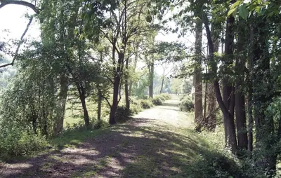 Paysage naturel près de la maison de vacances