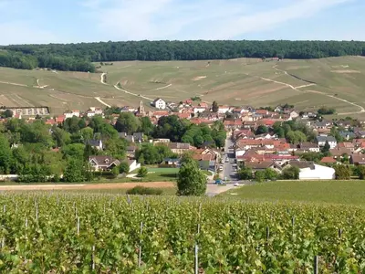 Paysage naturel près de la maison de vacances