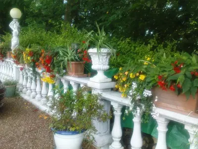 Jardin de l'établissement Chateau La Tour Du Roy