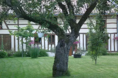 Jardin de l'établissement La maison du bûcheron