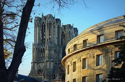 Plan de l'établissement MM Suites Cathédrale