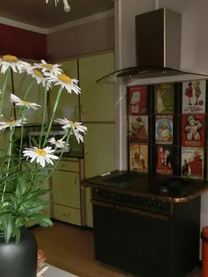 Cuisine ou kitchenette dans l'établissement Le gîte du familistère