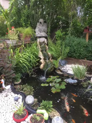 Jardin de l'établissement La Petalerie