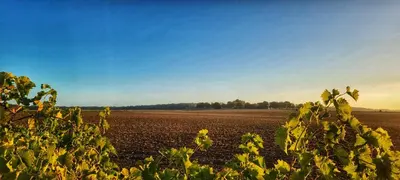 Paysage naturel près de la maison de vacances