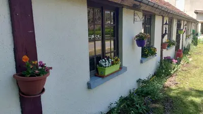 Jardin de l'établissement le marly's